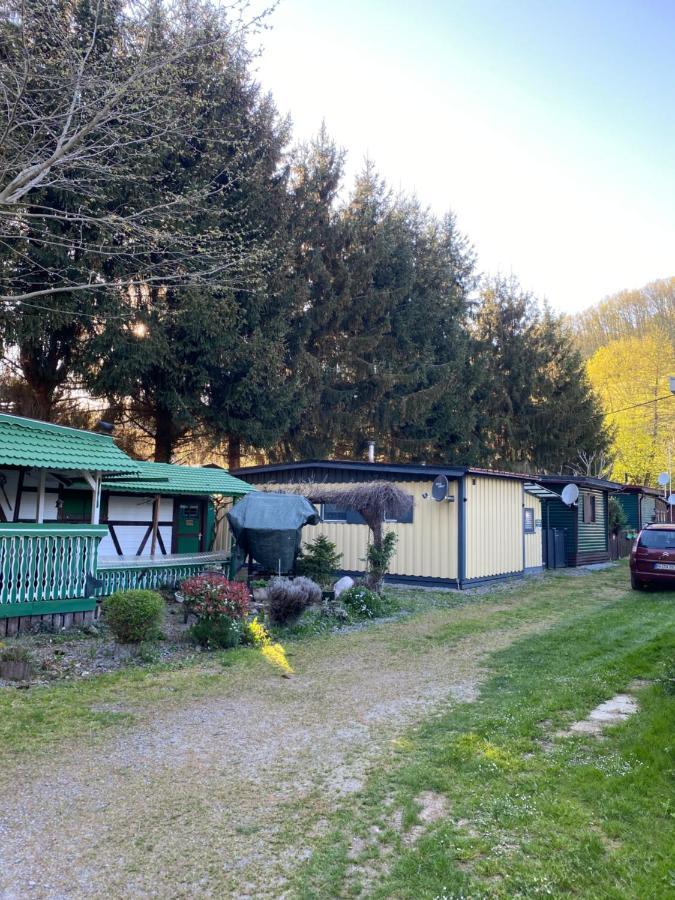 S-Chalet Camping Mit Comfort Im Schwarzwald Steinach  Экстерьер фото