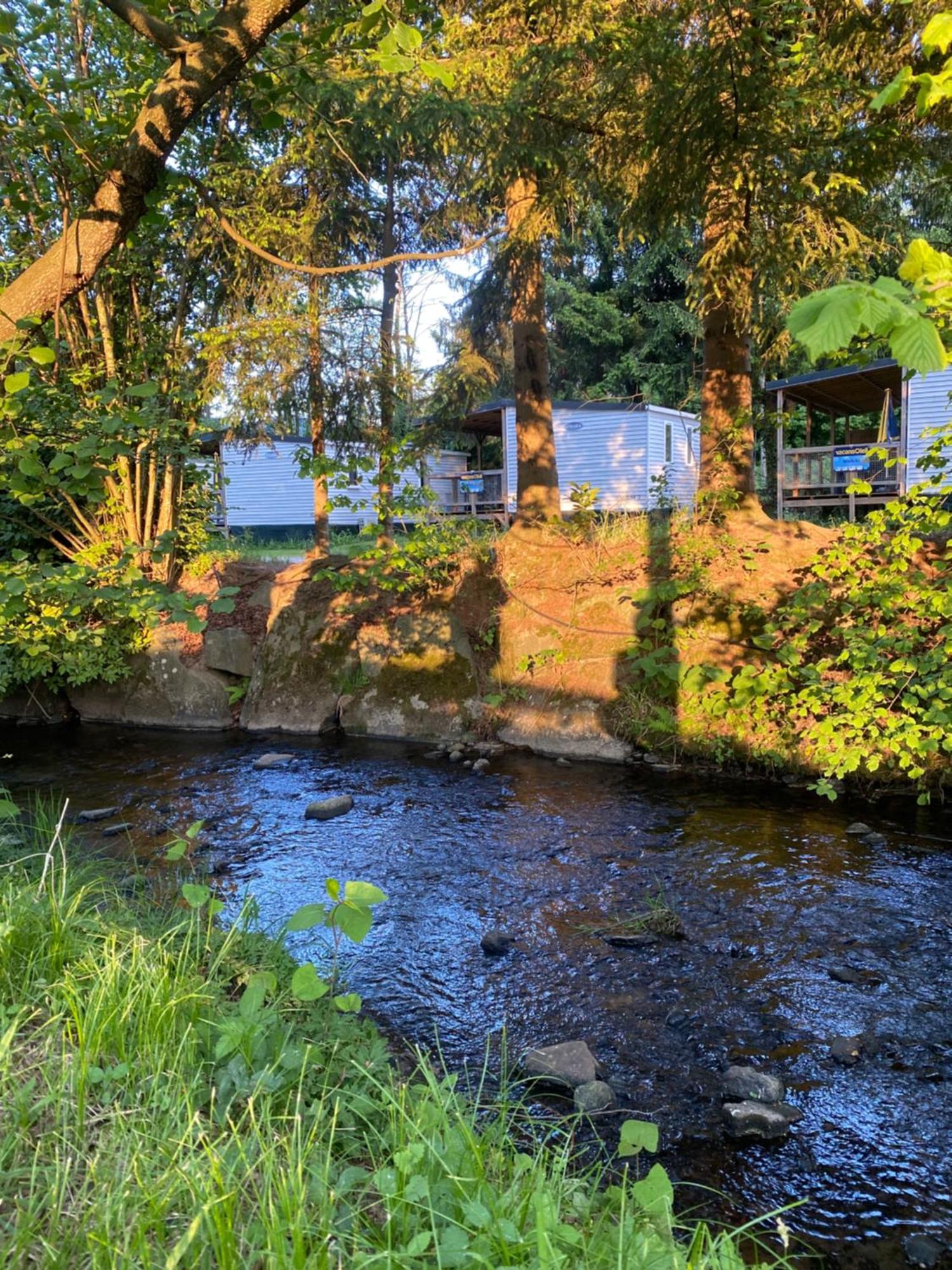 S-Chalet Camping Mit Comfort Im Schwarzwald Steinach  Экстерьер фото